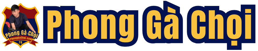 Phong Gà Chọi – Quảng Ngãi